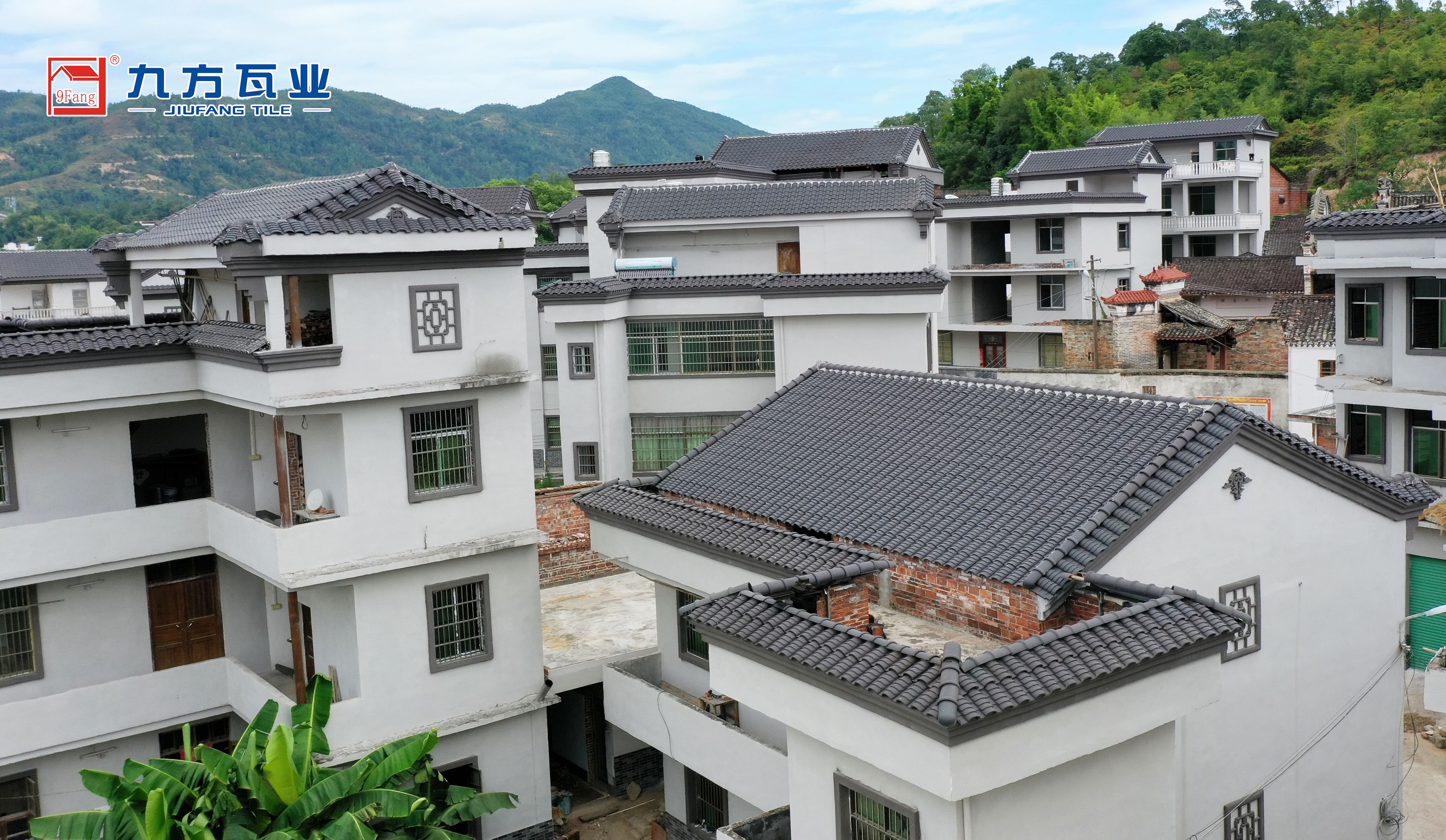 CA88摘要2022第24期