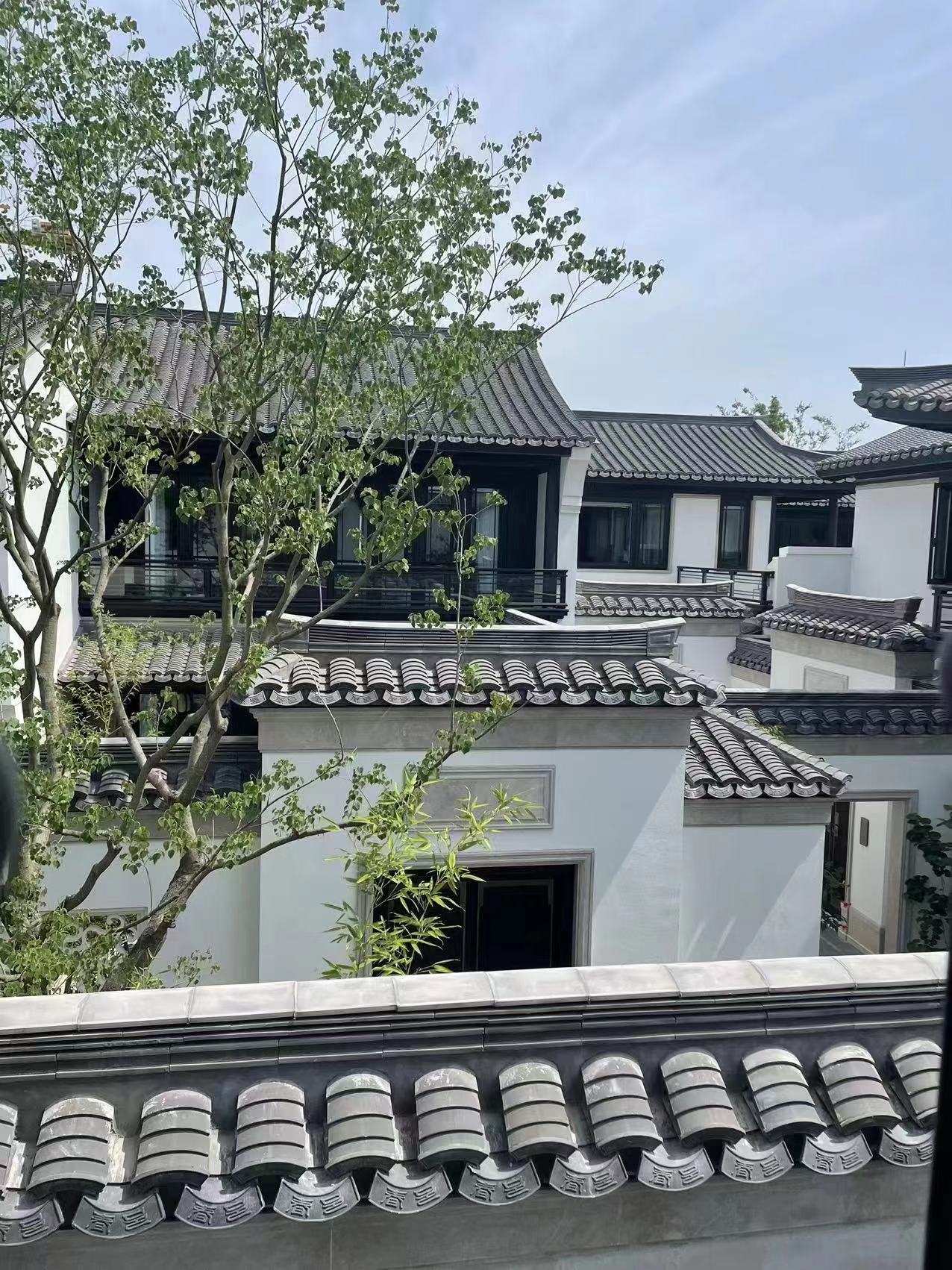 CA88摘要2023第27期