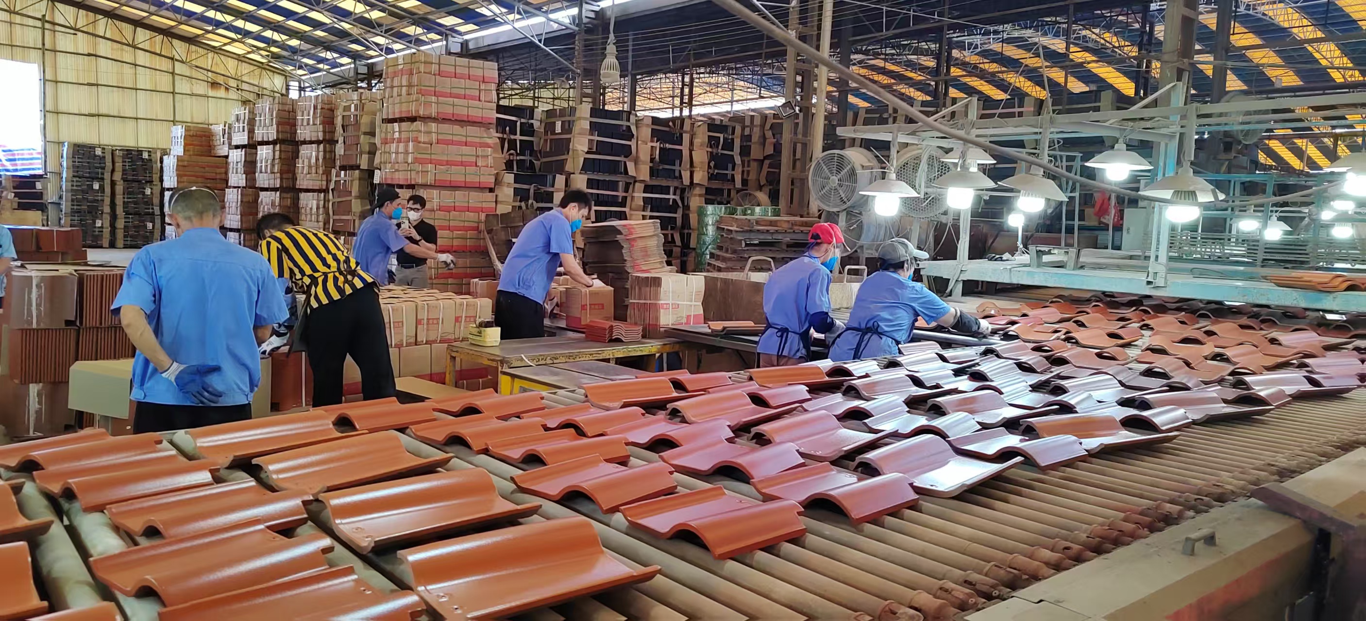 CA88摘要2024第29期